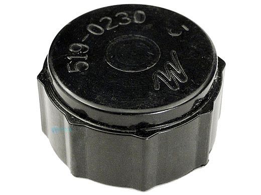 Waterway Plastics Drain Cap With Gasket Assembly | 550-0240