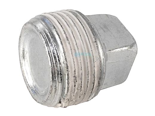 Pentair 3/4" Pipe Plug for Max-E-Therm Heater Water System | U78-60ZPS