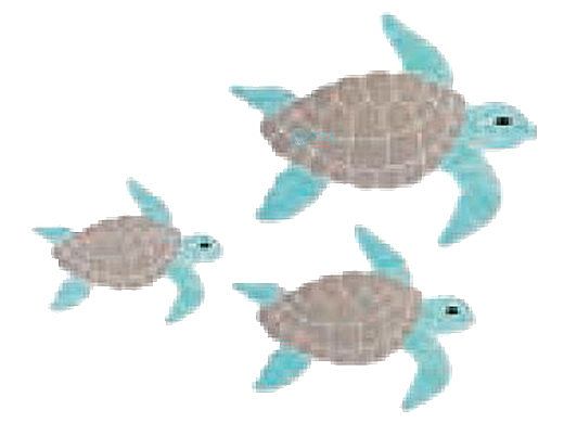 AquaStar Swim Designs Set 1 Large, 1 Medium & 1 Small Turtle Stencils Only | White | F1030-01