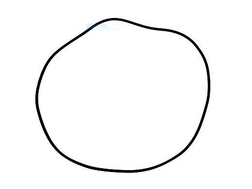 Aladdin Tank O-Ring for HRP-20 24750-5 | O-103-14