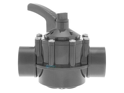Hayward CPVC Check Valve 1.5 x 2" | PSCV2S