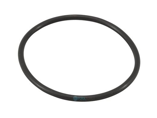Powerclean Salt Models O-Ring | 52000-200-101
