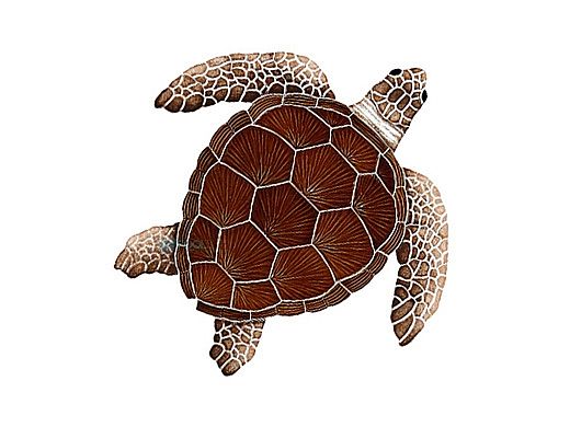 Artistry In Mosaics Loggerhead Turtle Brown Mosaic | Medium - 15" x 15" | TLOBROM
