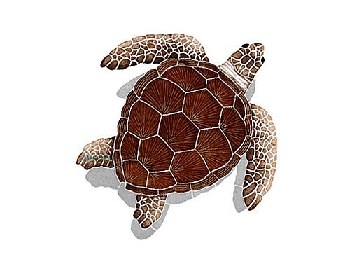 Artistry In Mosaics Loggerhead Turtle Brown with Shadow Mosaic | Medium - 16" x 15" | TLSBROM