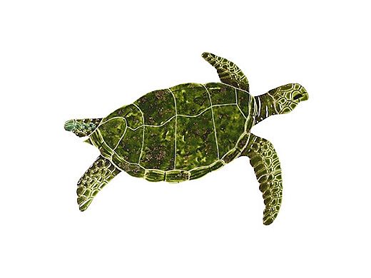 Artistry In Mosaics Sea Turtle Green Mosaic | Small - 9" x 12" | SEAGRERS