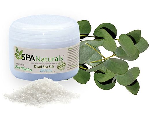 inSPAration Spa Naturals Dead Sea Salt Crystals | Eucalyptus | 11oz | 591