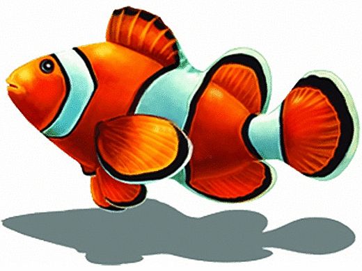 Custom Mosaic Clown Fish with Shadow 8" x 6" | PORC-CL58-5/SH