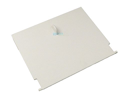 Waterway Weir Door Assembly | 550-9000B