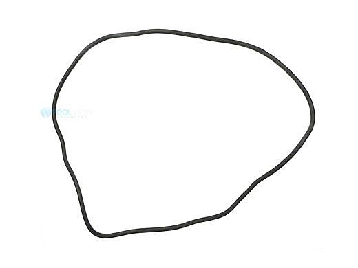 Aladdin 18" O-Ring Anthony 17433 Purex P24215 | O-293-9