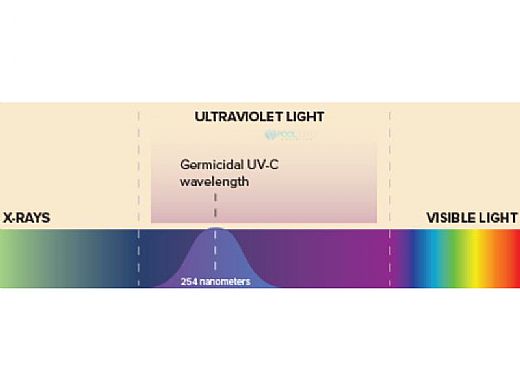 DEL UV-C 50 Ultraviolet Sanitizer System for Residential Pools | 50,000 Gallons | 110V/240V | EUV-01-01