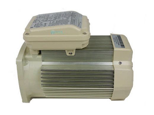 Pentair Replacement Single Speed TEFC Super-Duty Motor | 56 Frame | 208/230V 5HP | Almond | 354819S