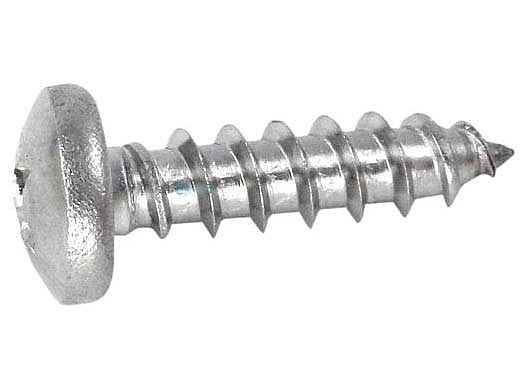 Pentair Screw #10 Self Tapping Hex Head | 154716
