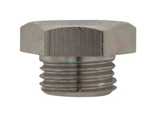 Pentair Berkeley Pipe Plug | 171P1180