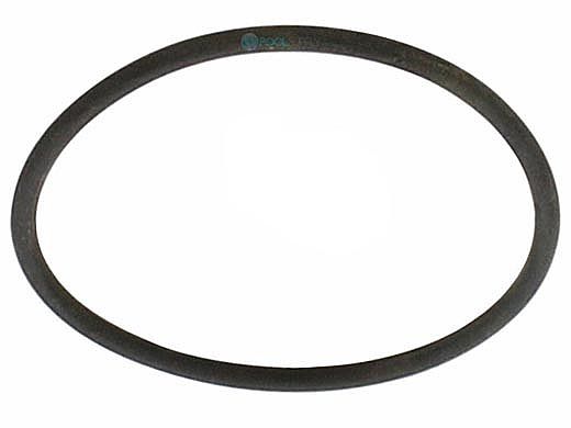 Pentair Large LTRO Flowmeter O-Ring | FLO