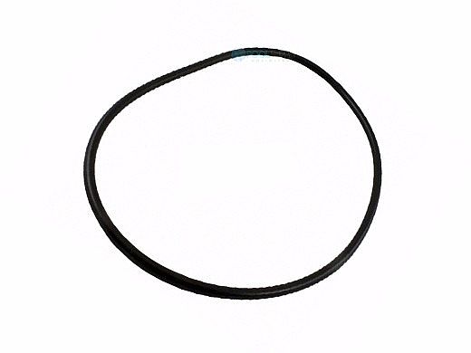 Waterway Plastics ProClean Cartridge Lid O-Ring | 805-0448