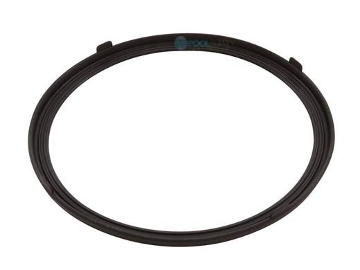 Pentair Aqualumin III Lens Gasket | 619599Z
