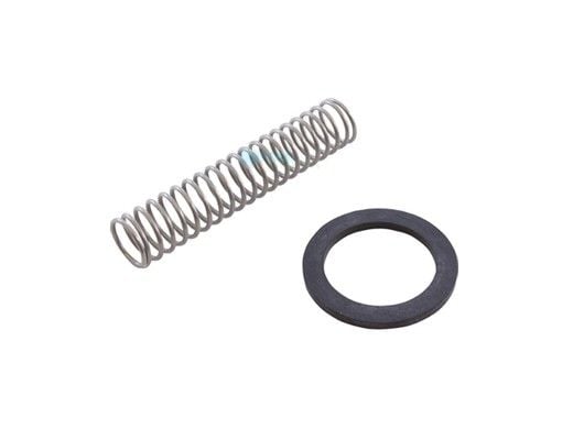 Zodiac Jandy By-pass Valve Spring | R0304500