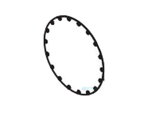 Raypak Flue Exhaust Cover Panel | 009774F