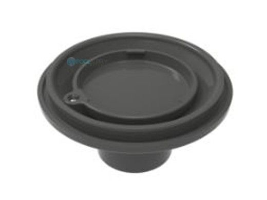 Color Match 2"S Adjustable Pebble Top Floor Inlet | Drak Gray | PTRF-05