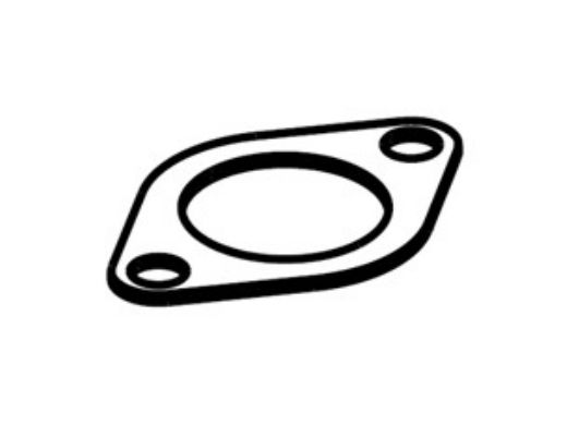 Raypak Pump Flange Gasket | 015893F