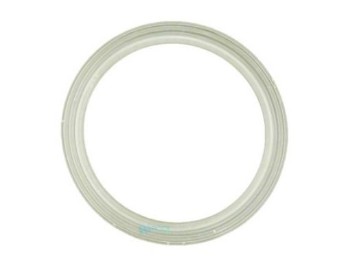 Waterway Gasket Sand Filter | 711-1920B