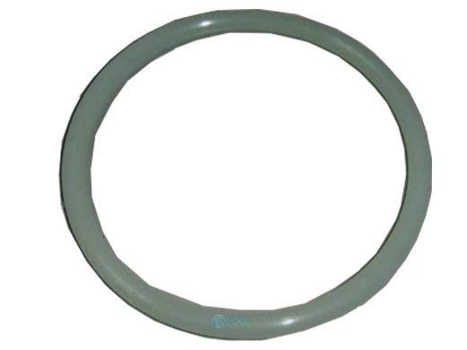 AstralPool Lid Gasket | 4404020111