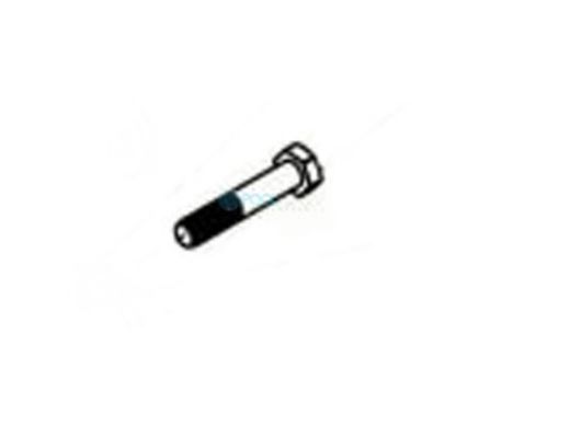 Global Lift Bolt | BOLT-M12-65