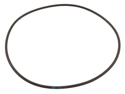 Waterco Hydrostar Pump Lid O-Ring | 634075