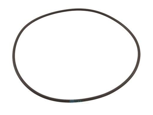 Waterco Strainer Lid O-Ring | 19B5051