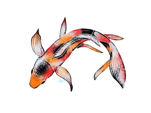 Artistry In Mosaics Koi Fish A Mosaic | 7" x 10" | KFMCOAS