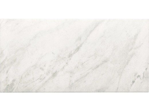 National Pool Tile FMU 12x24 Tile | Classica Alaska Glacier | 1101490
