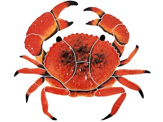 Artistry In Mosaics Crab Mosaic | Red - 9" | CRARES