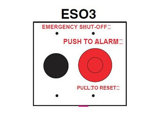 Pentair | Shut-Off Switch with Alarm | ESO3