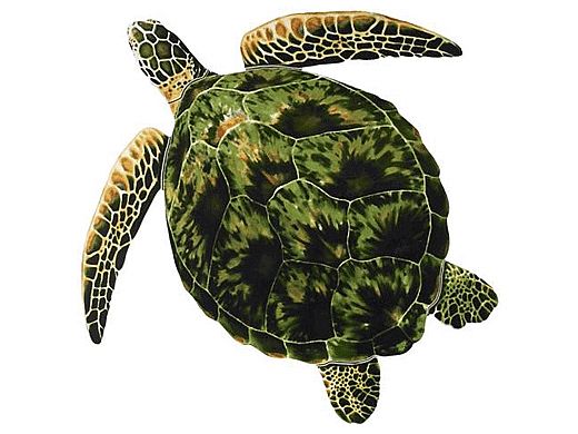 Porcelain Mosaic Sea Turtle Green | 10"x10" | PORC-GT3-10