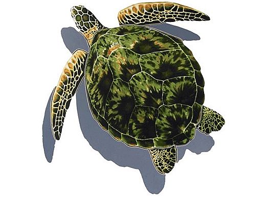 Porcelain Mosaic Sea Turtle Green | 10" x 12"  with Shadow | PORC-GT3-10/SH