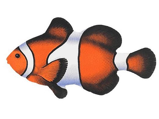 Porcelain Mosaic Reef Fish | Clown Fish | PORC-CF9-8