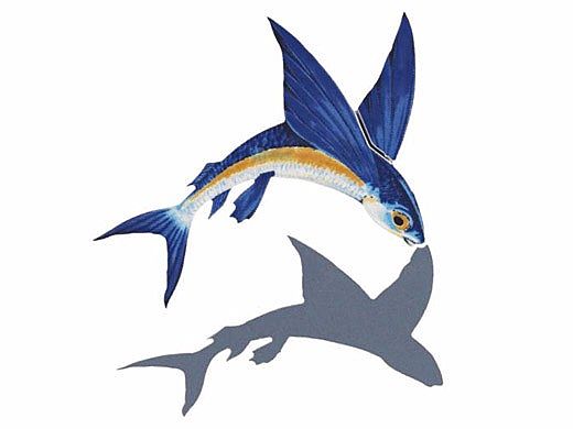 Porcelain Mosaic Flying Fish-A  with Shadow | 7" x 8" | PORC-FF13/SH