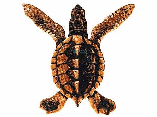 Porcelain Mosaic Turtle Brown | Baby A 5"x5" | PORC-ST20A-BR