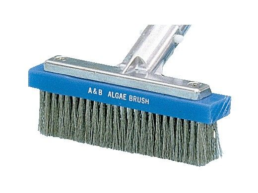 A&B Brush Straight Algae Brush | 6.25" | Stainless Steel Bristles | 5000