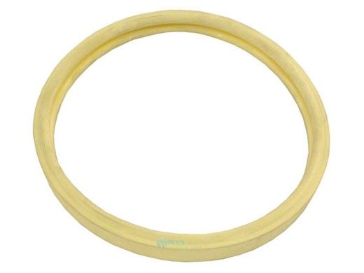 Pentair Kit Lens Gasket SUNBRTII | 79101601Z | 620400Z