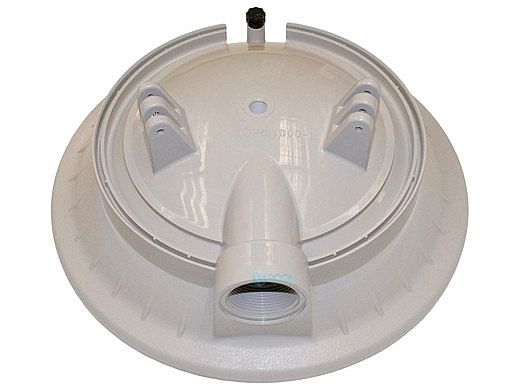 Hayward Filter Head with Vent Valve | ECX5000BP