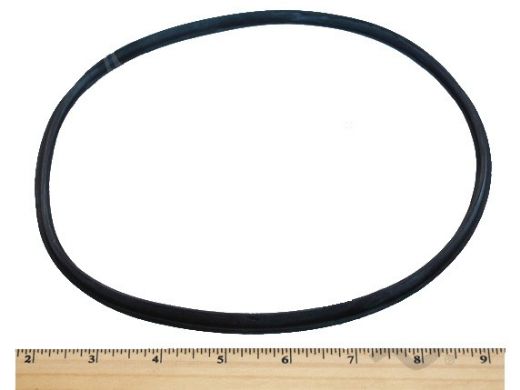 Hayward Seal Plate O-Ring for Northstar Pump | SPX4000T