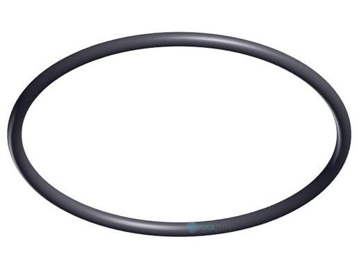 Hayward TriStar Strainer Cover O-Ring | SPX3200S
