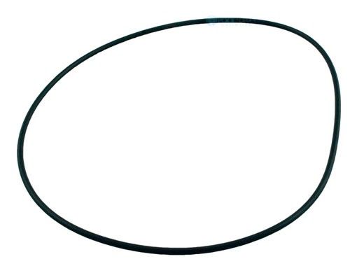 Hayward Seal Plate O-Ring | AX6060S