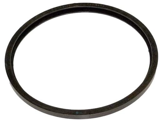 Hayward Lens Gasket | SPX0540Z2
