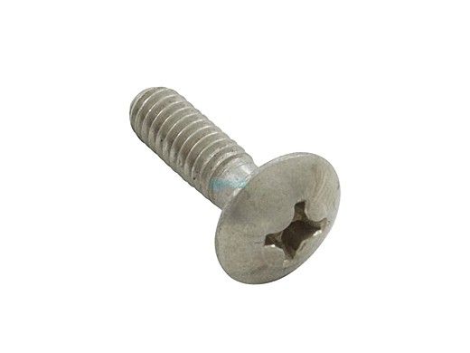 Hayward Lower Mounting Screw | SPX0555Z2