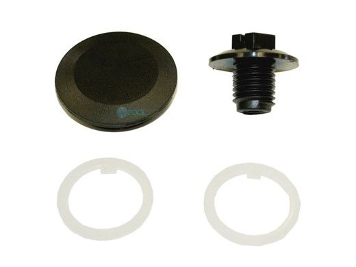 hayward chlorinator cap