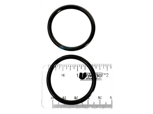Pentair Wall Fitting O-Ring | E21