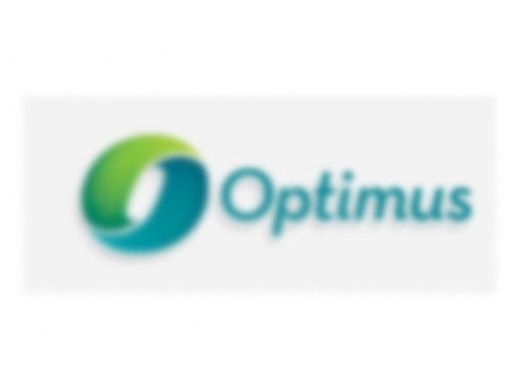 Optimus O-Ring | 4890-009 017434
