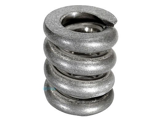 Pentair Quick Release Spring | 195612